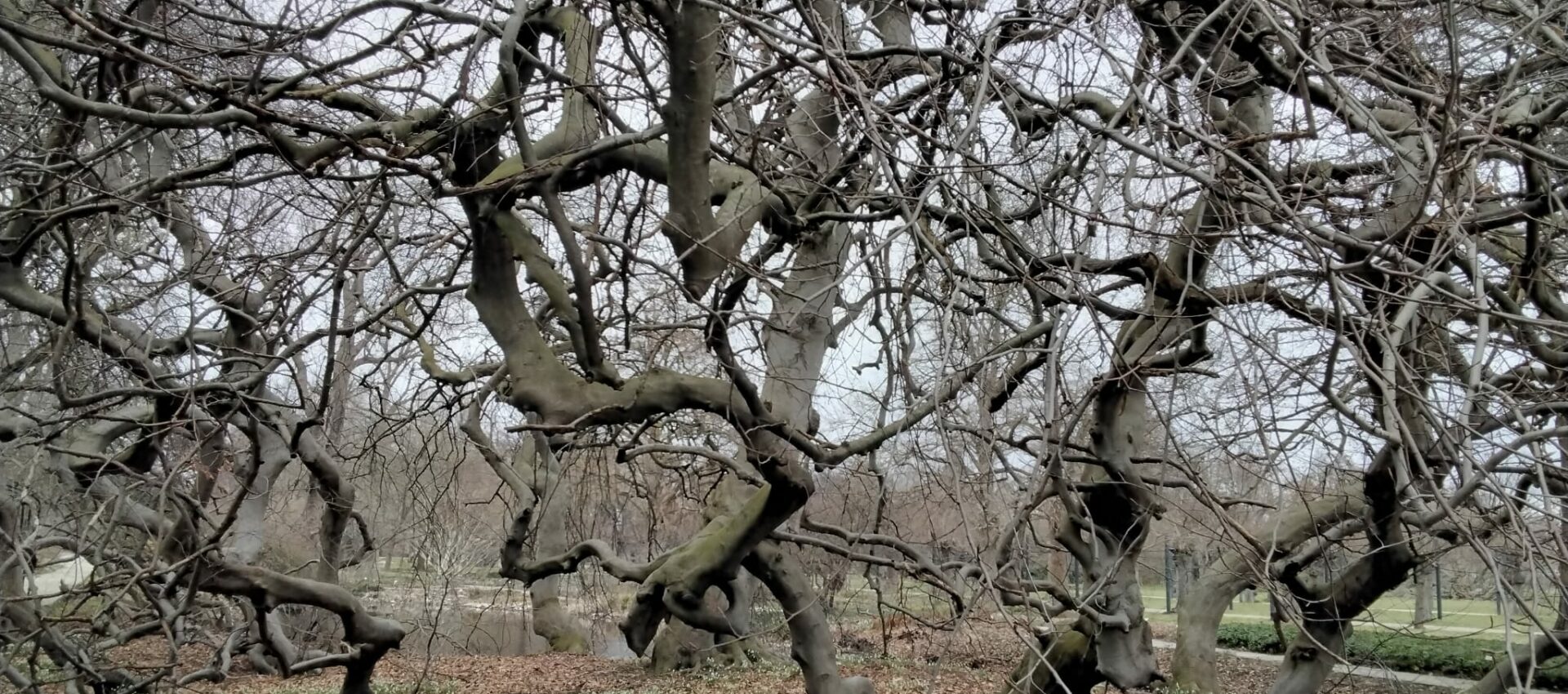 e4cb0c17-93c0-401c-9587-23b9f15d6ce8